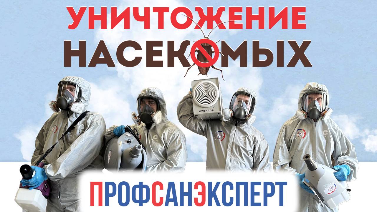 Видео превью